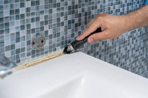 Best Professional Mold Removal  in Cairo, GA