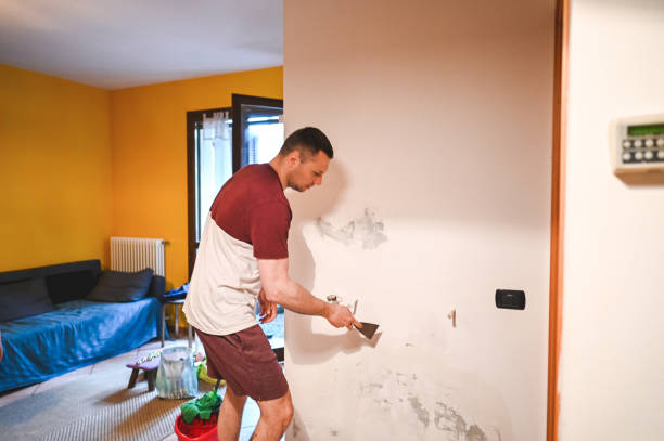 Best Fast Mold Removal  in Cairo, GA
